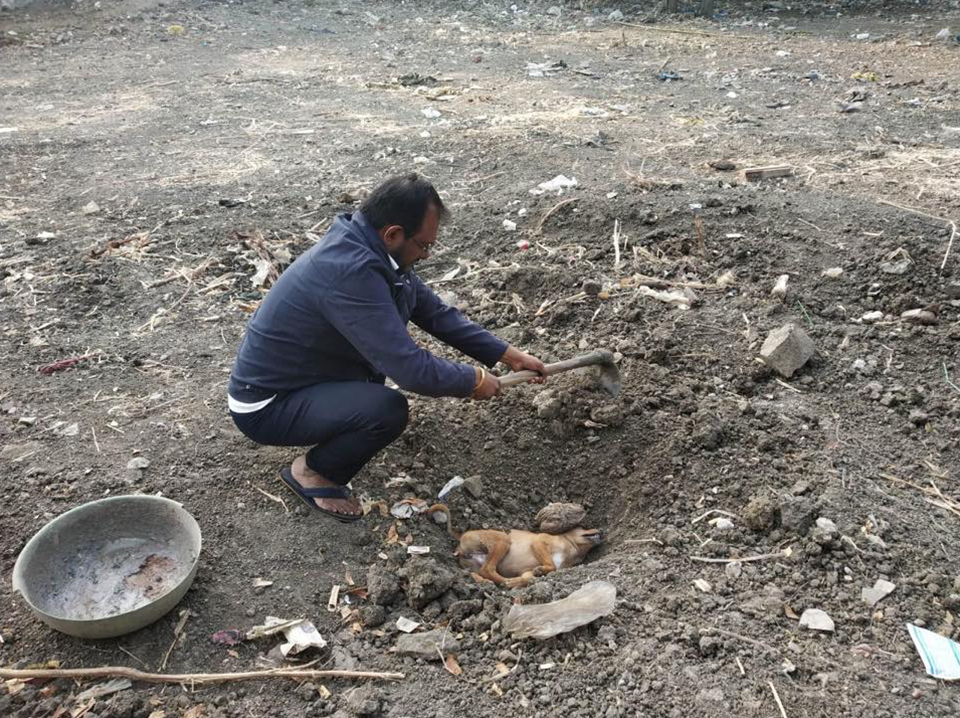 Kit used by Ajay Vijayvargiya